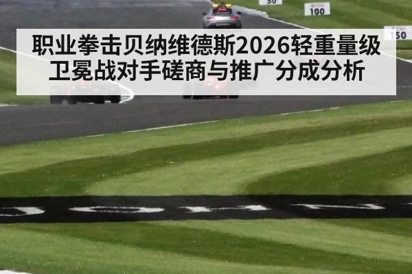 职业拳击贝纳维德斯2026轻重量级卫冕战对手磋商与推广分成分析